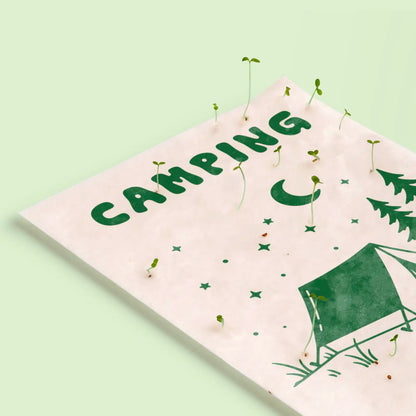 Postal Plantable Camping Semillas de Manzanilla | Papel de Algodón Reciclado | Regalo Original - Resetea_2