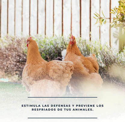 Pack 3 productos para resfriado en aves: Solurespi + Solufrío + Solustress - Alivio catarro gallinas (ref. Slpck4)_3