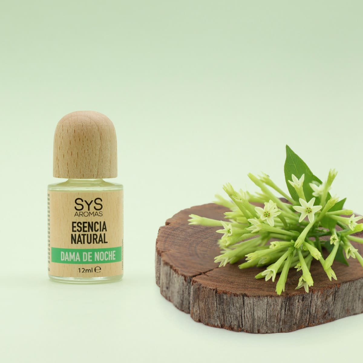 Esencia Aromática Dama De Noche 12 Ml | Aroma Floral Intenso | Fragancia Nocturna | Perfume Concentrado_1
