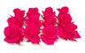 Mundo Eterno Rosas Fucsia Preservadas 12 Unidades 3-4cm