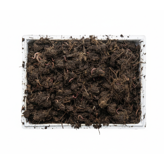 Caja Para Compostador (lombriz Roja De California)_0