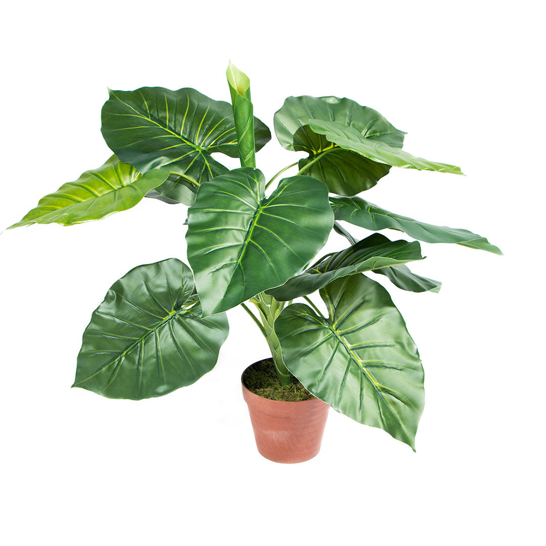 Planta Artificial Taro - Decoración Natural Sin Mantenimiento 1.0 M / Multicolor_0