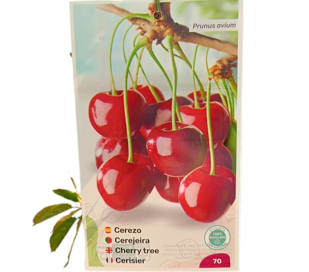 Cerezo Brook M25 120-140cm_0