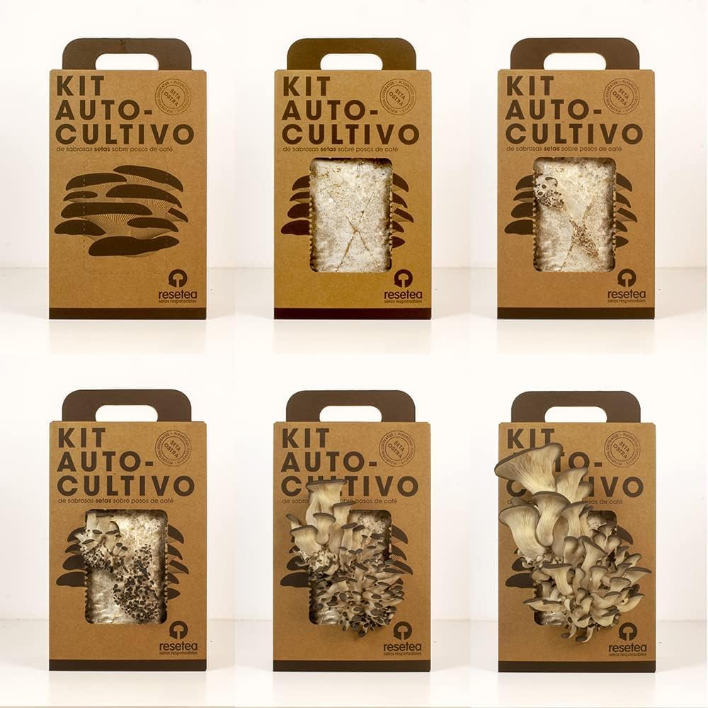 Kit Cultivo De Setas Ostra | Ingrediente Gourmet | Cultivo Fácil | Regalo Original | Resetea_4