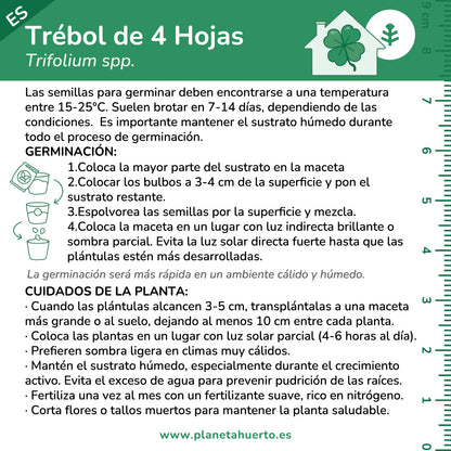 Kit de autocultivo Trébol de 4 hojas Planeta Huerto