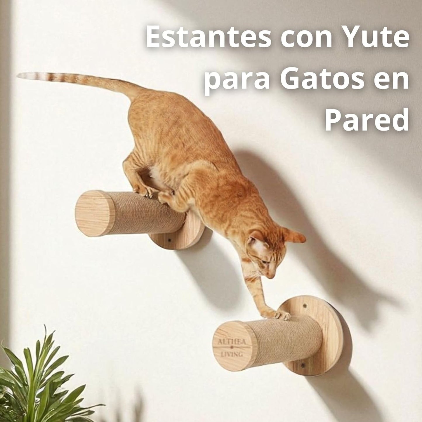 Estante De Escalada Para Gatos Coral Set De 2 Piezas Con Rascador De Yute Y Diseño Mural Althea Living 12.7x12.7x30cm_3