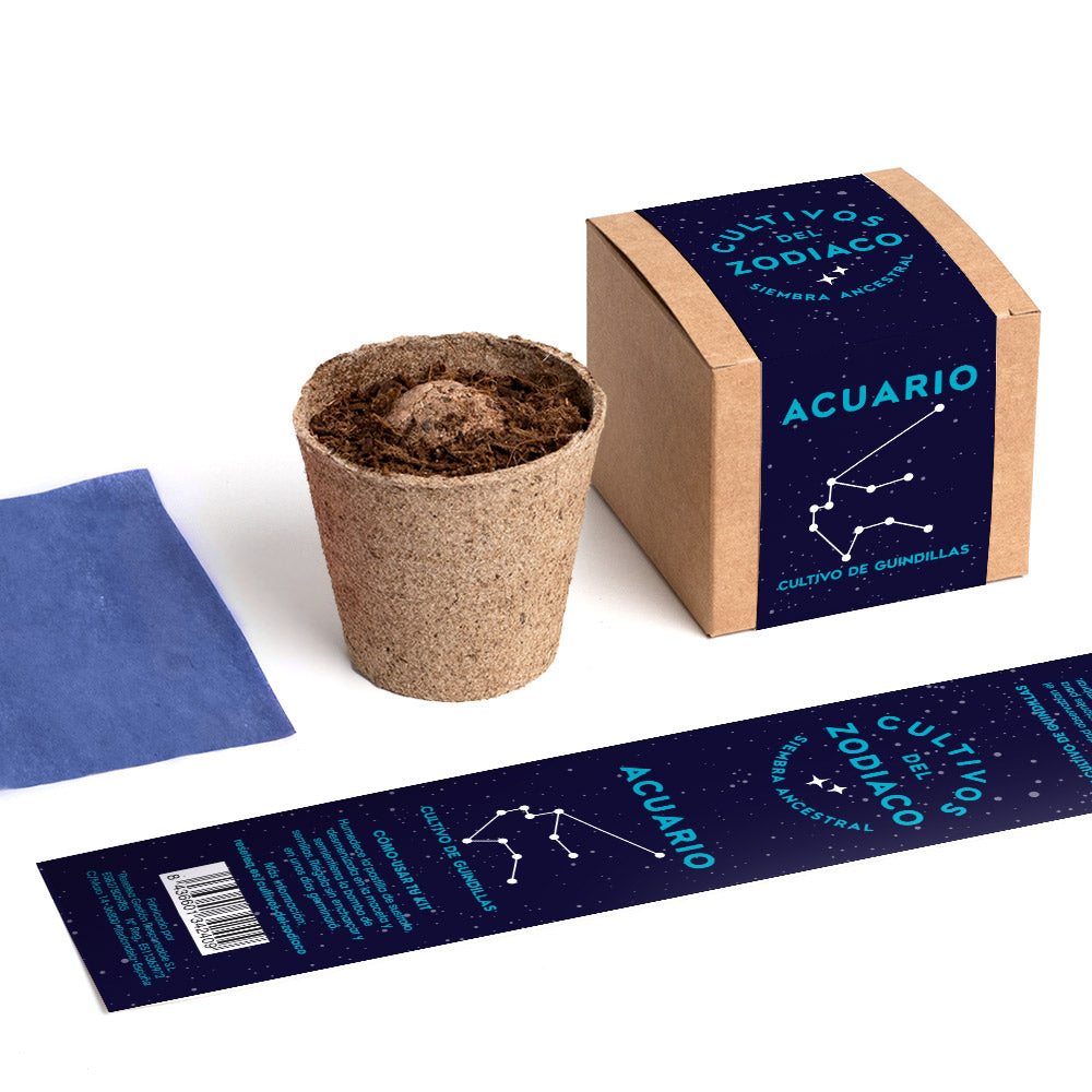 Cultivos Del Zodiaco – Acuario | Kit De Cultivo Con Semillas De Guindillas_3
