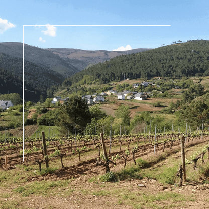 Vino Tinto - Escada Garnacha Tintorera 2019 - Alan De Val_1