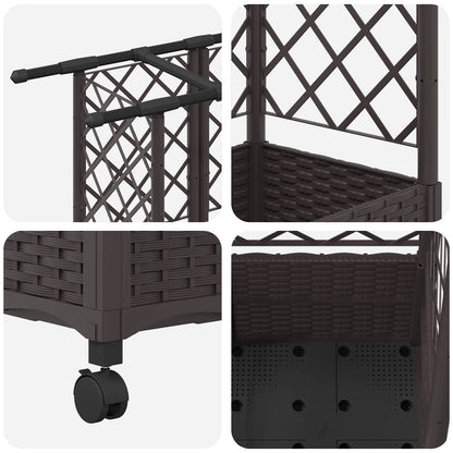 Cama Elevada Con Trellis Y Techo Marrón 163,5 X 40 X 142 Cm Pp_5