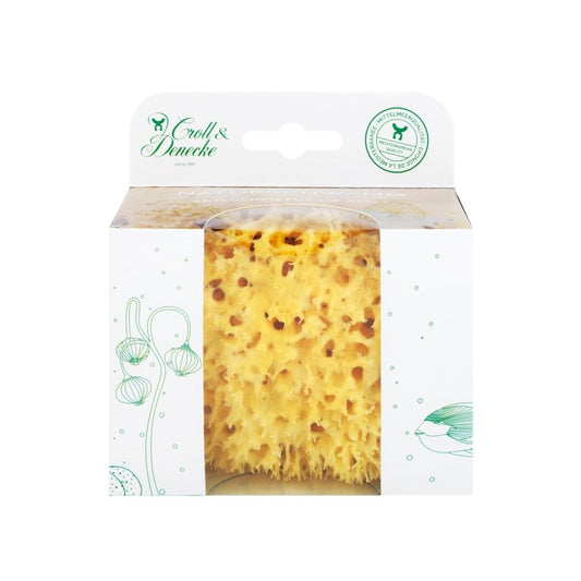 Esponja marina del Mediterráneo Croll&Denecke 10-11 cm