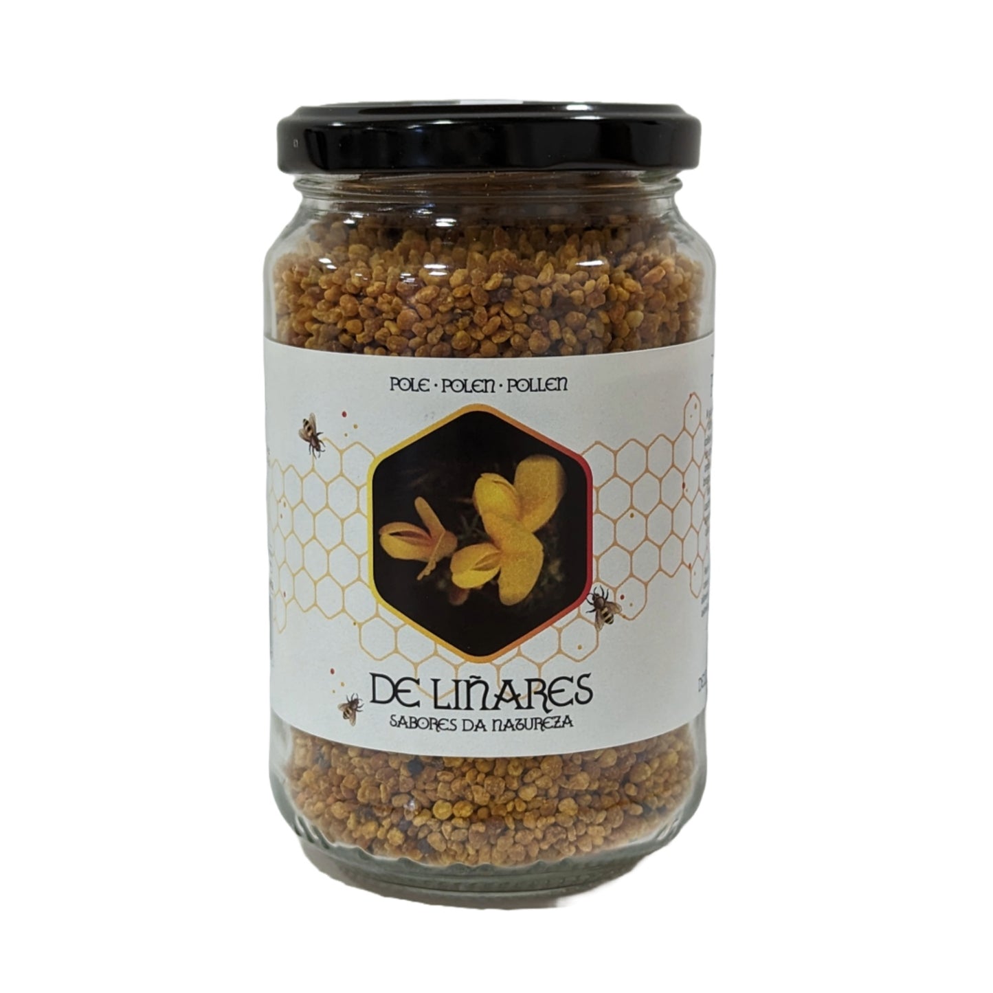Polen De Castaño_0