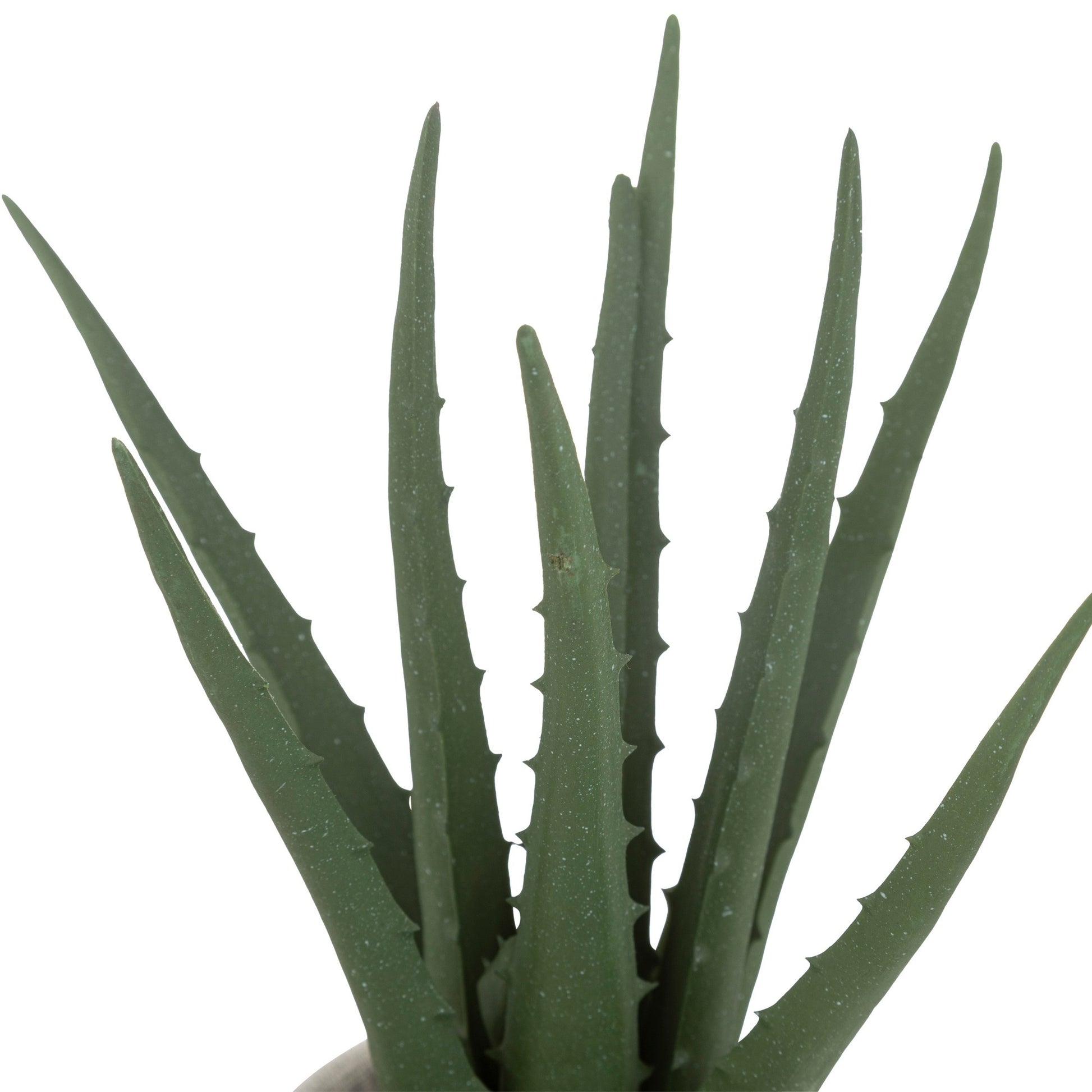 Planta De Aloe En Maceta Natural H29cm_1