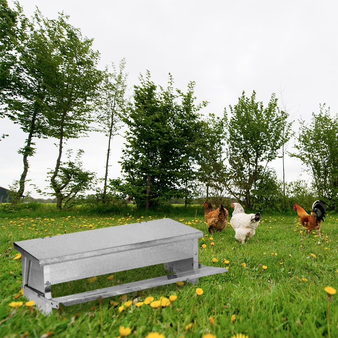 Finca Casarejo Comedero Con Pedal Para Aves De Corral - Tolva Galvanizada Con Capacidad Para 5 Kg De Alimento_4