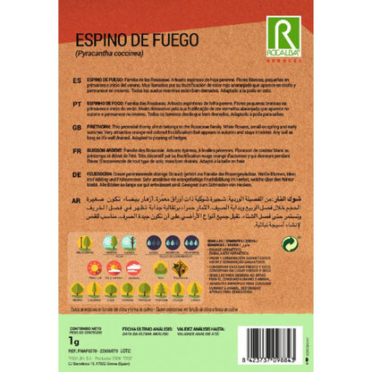 Semillas de Espino de fuego Pyracantha coccinea