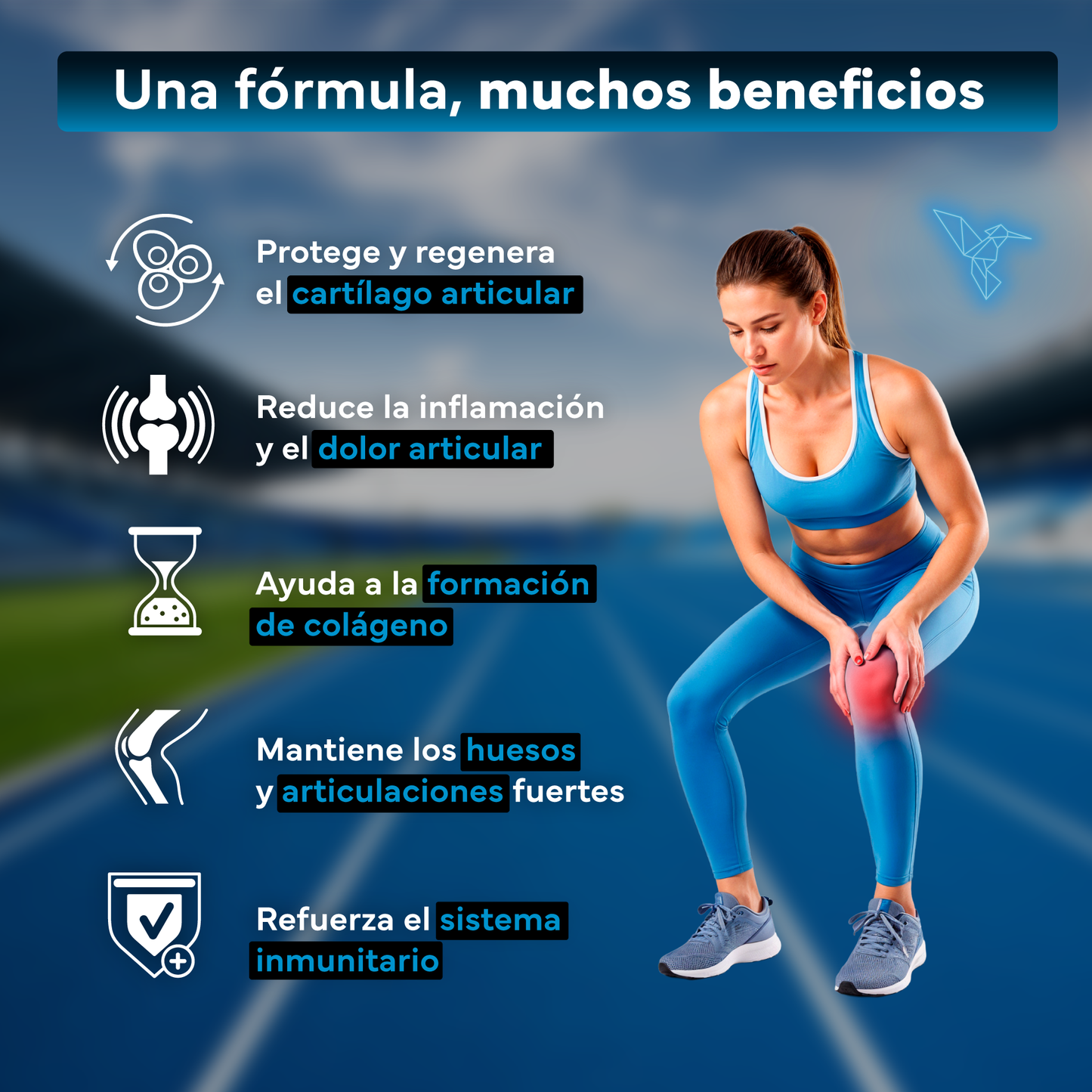 Pack 2x Glucosamina Con Condroitina, Msm, Boswellia, Vitaminas C Y D3. Sevens Nutrition. Cuidado De La Salud Articular._2