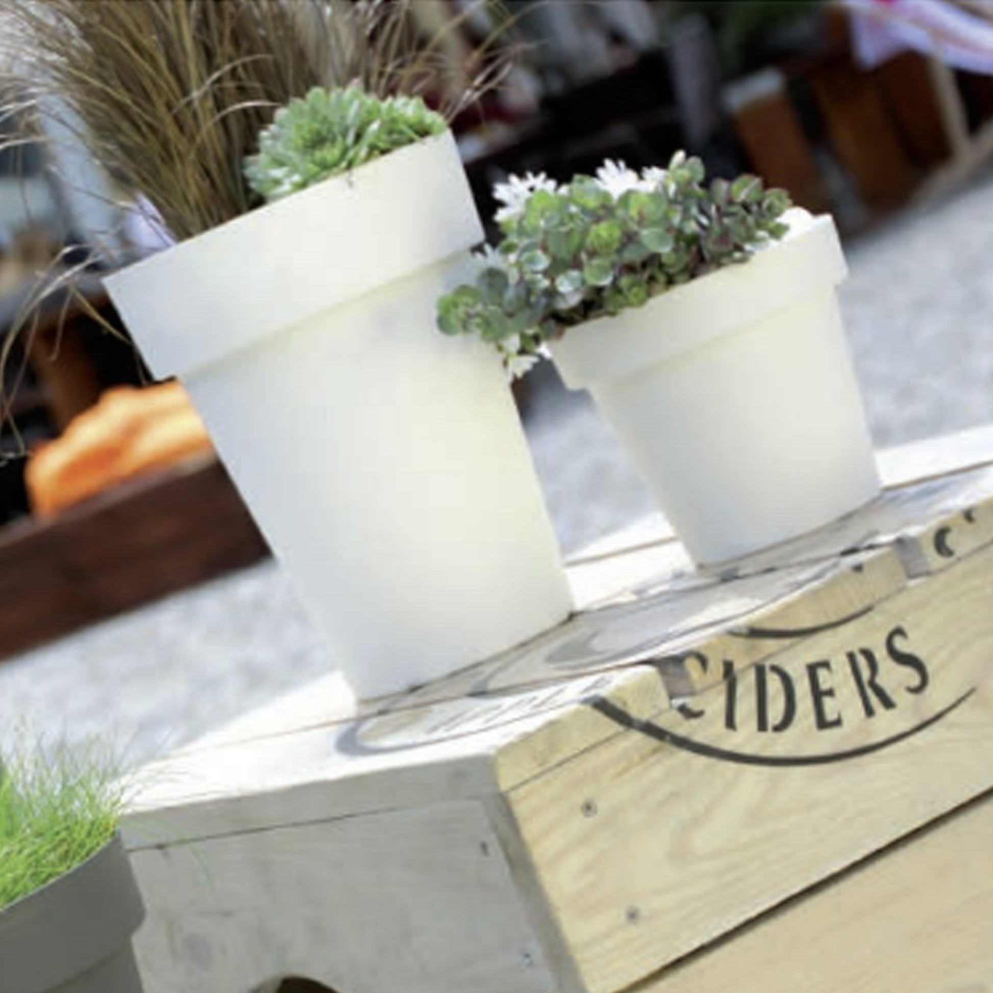 Maceta De Plastico Lofly En Color Blanco 13,4 (largo) X 13,4 (ancho) X 12 (alto) Cm