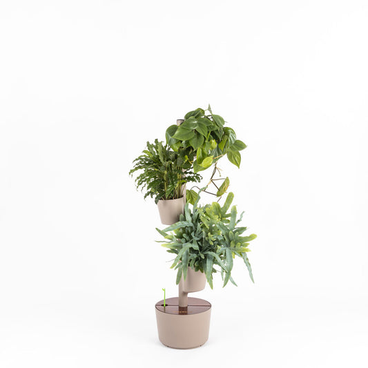 Huerto Vertical De Interior Citysens Con Riego Manual De 3 Macetas y 3 plantas de regalo – Color Corteza De Pino_0