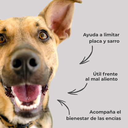 Polvo dental natural para perros y gatos – Limpieza dental, sarro y mal aliento – 100 g_3