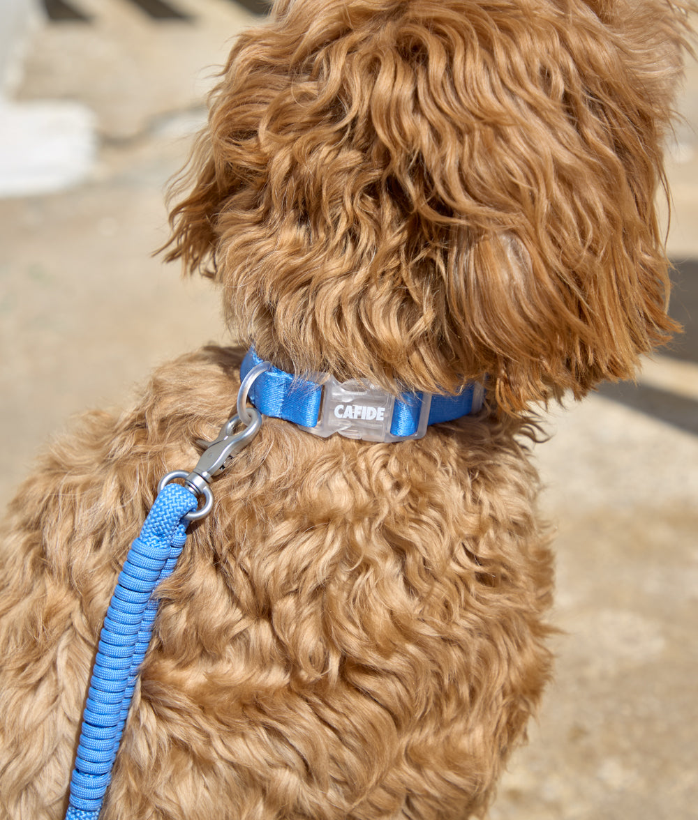 Cafide Collar De Material Reciclado Azul. Modelo Ona._1