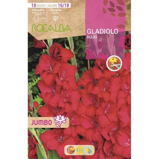 Bulbo Gladiolo Jumbo Rojo 10 unidades (16/18)