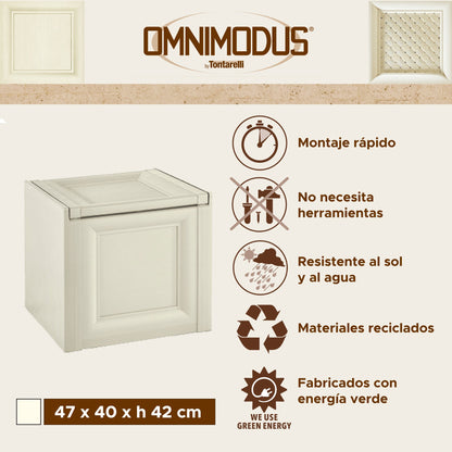 Baúl Omnimodus Pequeño 47x40x44cm Gris_1