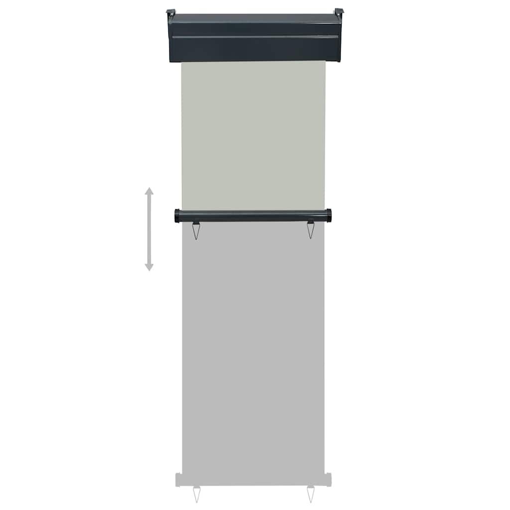 Vidaxl Toldo Lateral De Balcón Gris 65x250 Cm_4