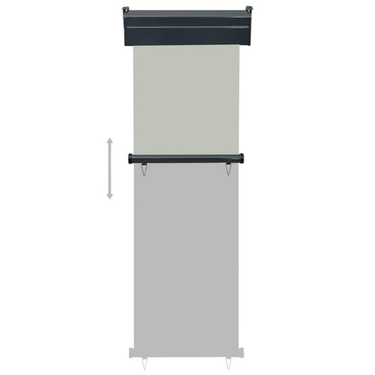 Vidaxl Toldo Lateral De Balcón Gris 65x250 Cm_4