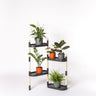 Soporte Modular Citysens De 4 Bandejas Negro, Con 2 Plantas De Regalo