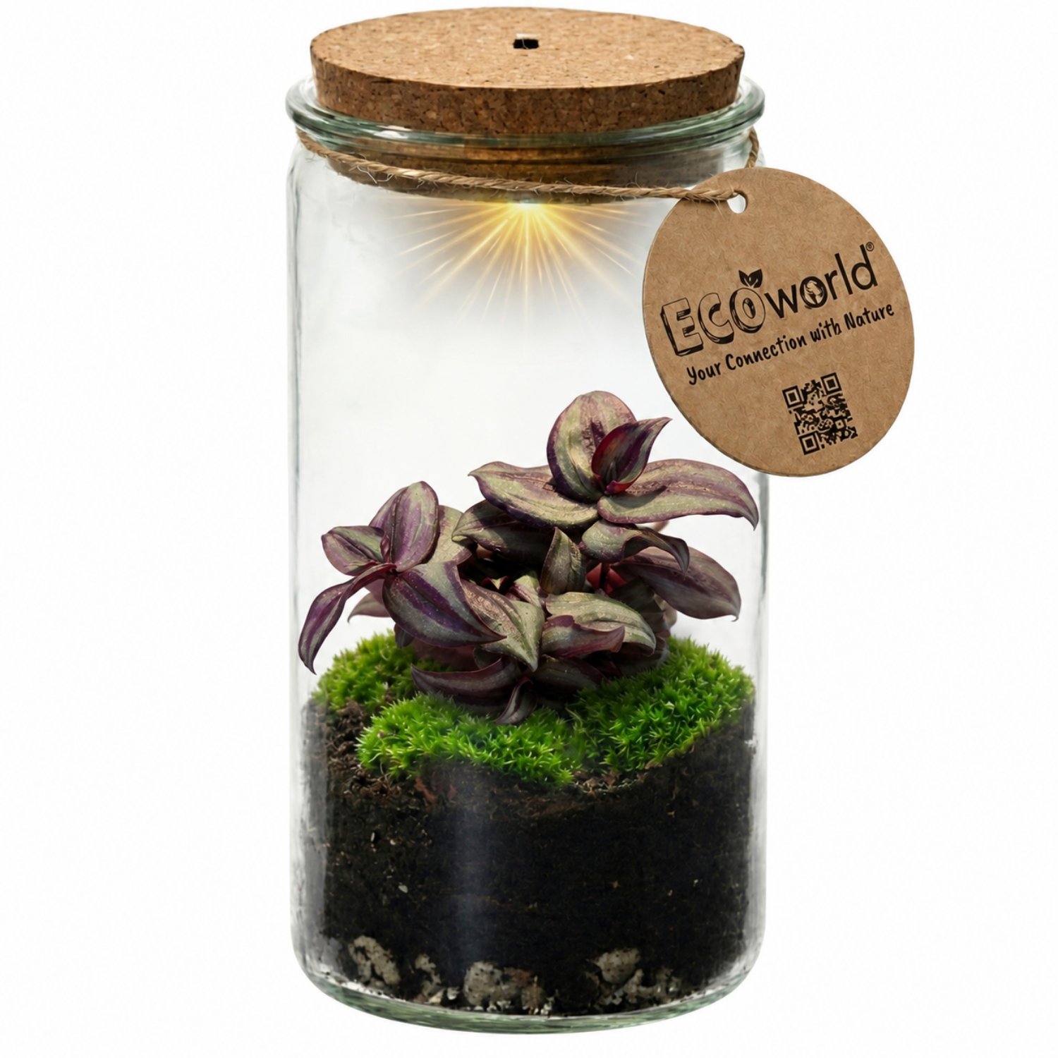 Mini Terrario De Plantas Ø11 Cm - Ecosistema Cerrado En Cristal_0