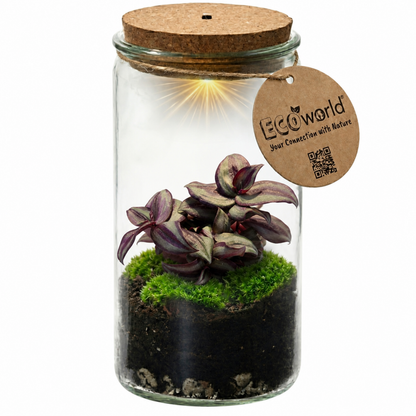 Mini Terrario De Plantas Ø11 Cm - Ecosistema Cerrado En Cristal_0