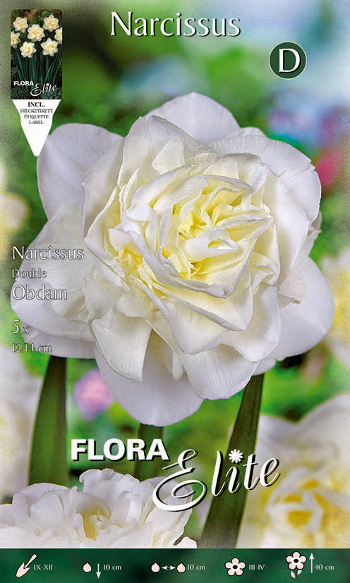 Bulbos Narciso doble blanco 5 uds
