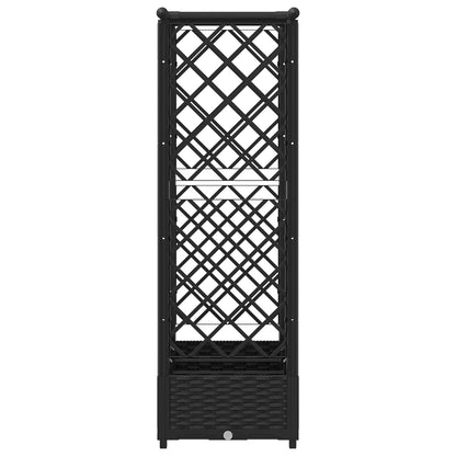 Cama Elevada Con Trellis Y Techo Negro 164 X 40 X 121 Cm Pp_4