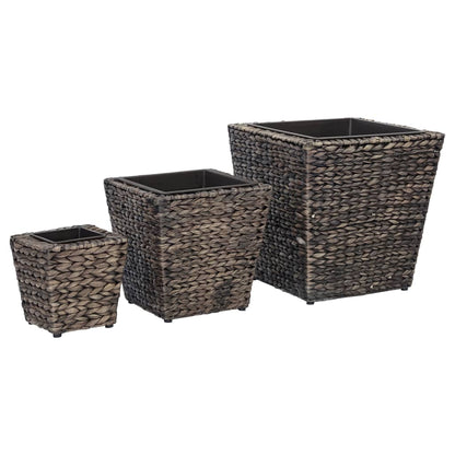 Conjunto De Arriates 3 Piezas Jacinto De Agua Marrón_0