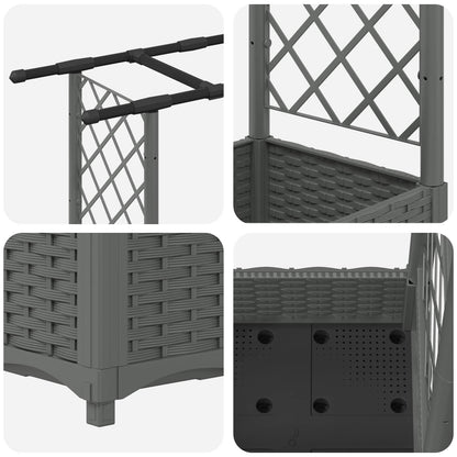 Cama Elevada Con Trellis Y Techo Gris Claro 122,5 X 40 X 121 Cm_5