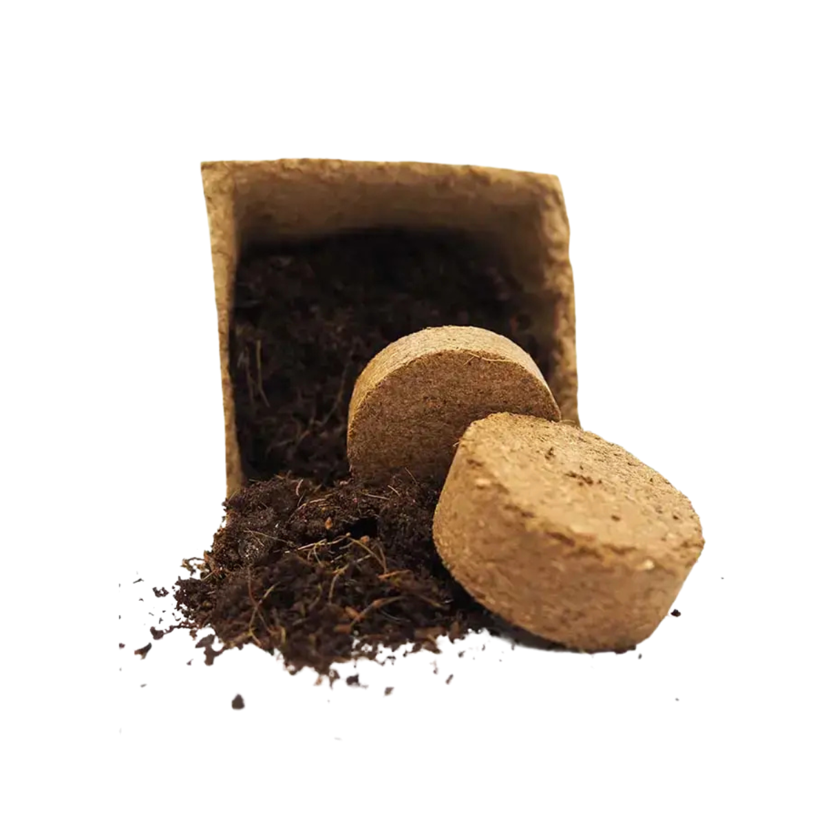 Kit De Cultivo De Menta Piperita Grow Me – Huerto Urbano Ecológico_2