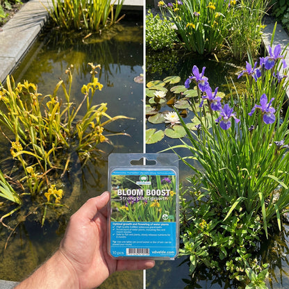 Bloom Boost Tabletas Abono 30 Unidades - Plantas Estanque - 6 Meses_1