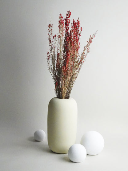 Erica Deliciosa Preservado