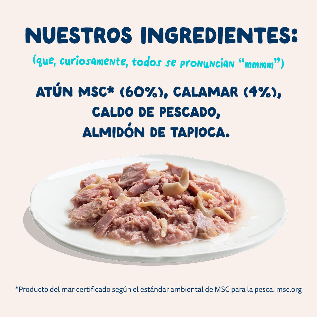 Filetes de atún con calamar para gatos Edgard & Cooper 70 g