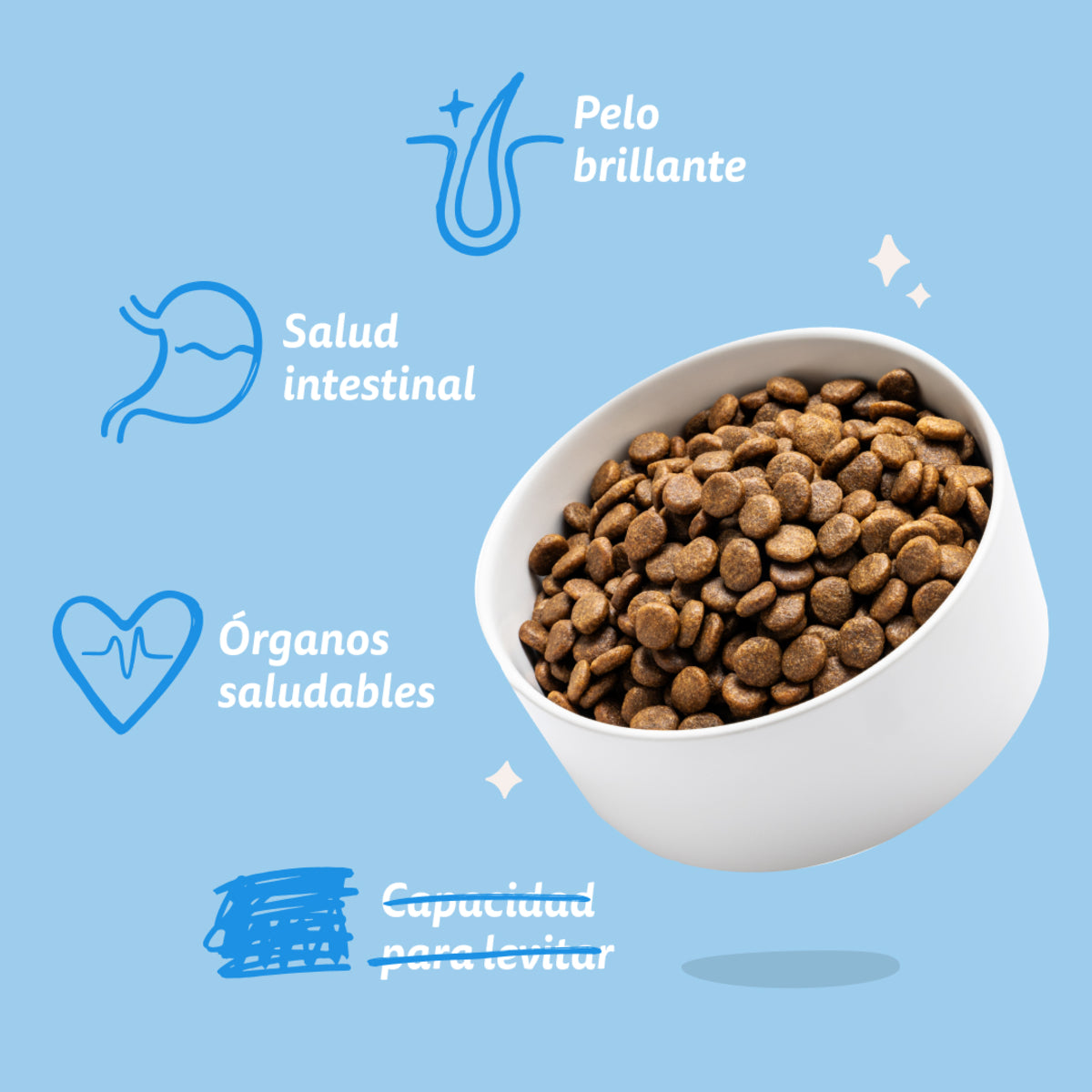 Pienso para perros Salmón Noruego Edgard & Cooper 1 Kg