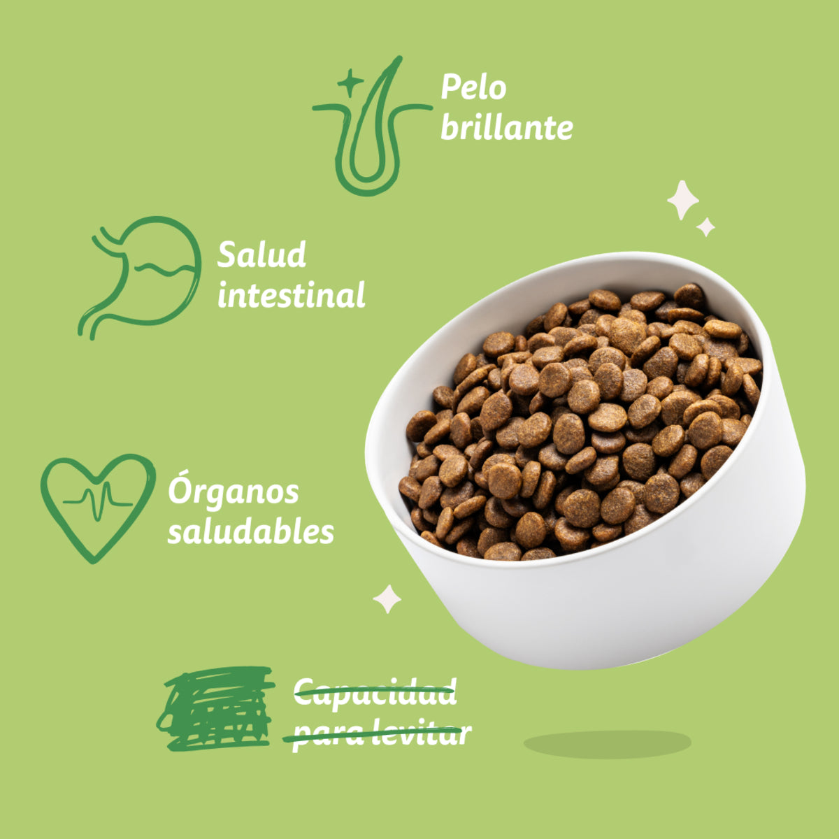 Pienso para perros Cordero Edgard & Cooper 1 Kg