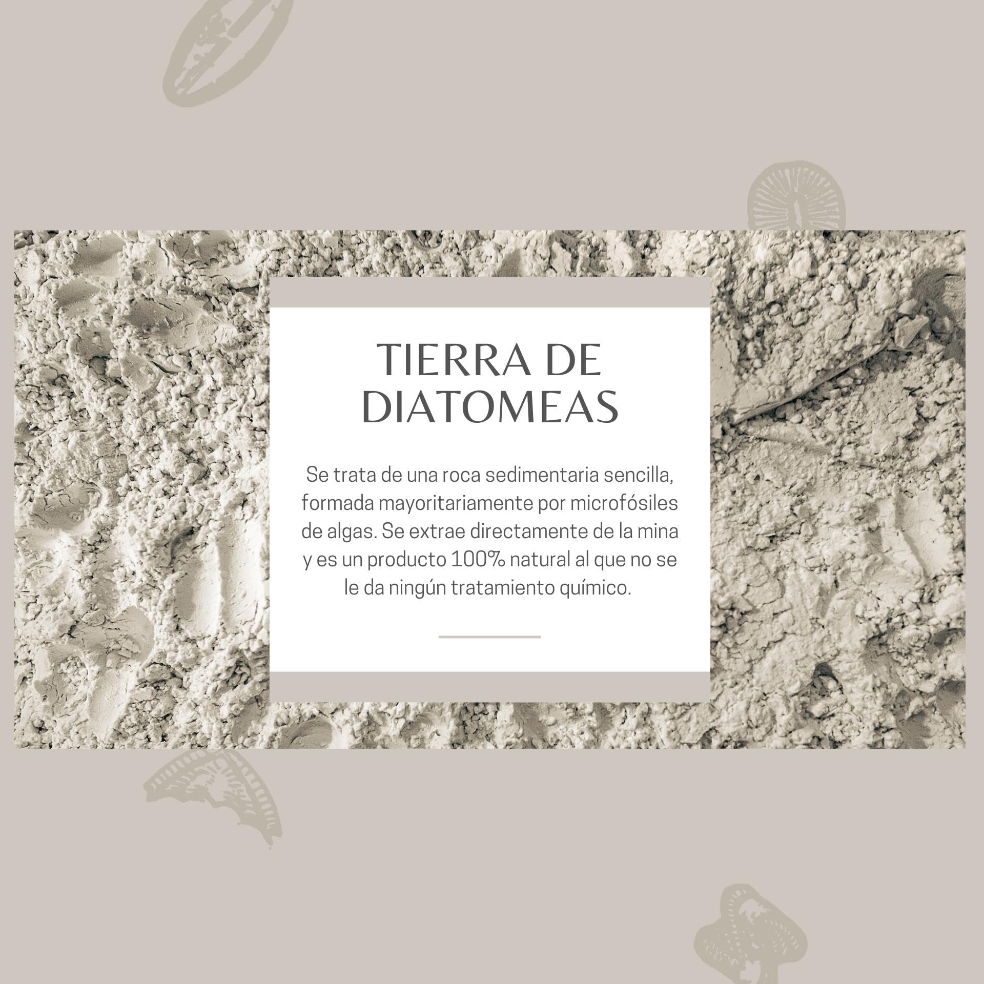 Tierra De Diatomeas Micronizada - 100% Natural Y Ecológica - 225 G - Múltiples Usos - Polvo De Diatomeas En Envase Pulve_5