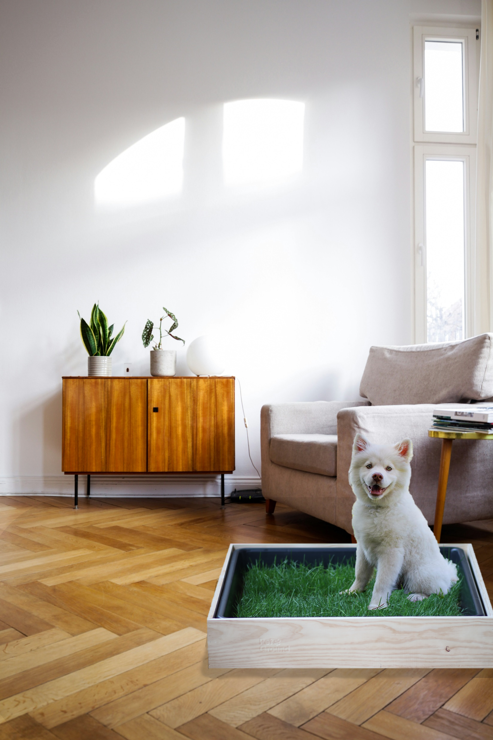 Petground, Cama Para Perros, Caja De Madera, Accesorio, Mueble, Xxl_4