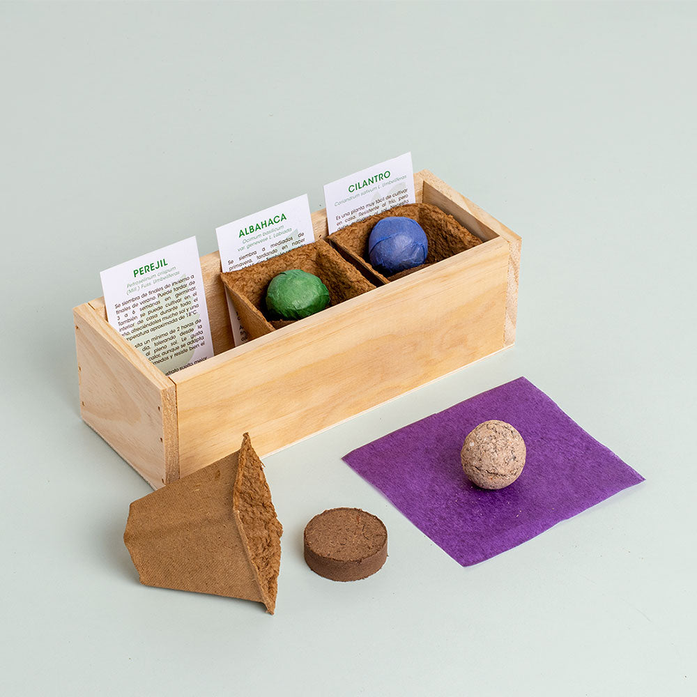 Mini Huerto Hierbas Aromáticas (perejil, Albahaca Y Cilantro) | Kit De Cultivo En Casa Fácil Y Natural_1