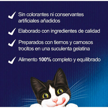 FELIX Fantastic Selección de Sabores en Gelatina pack surtido 44 x 85 g Gato