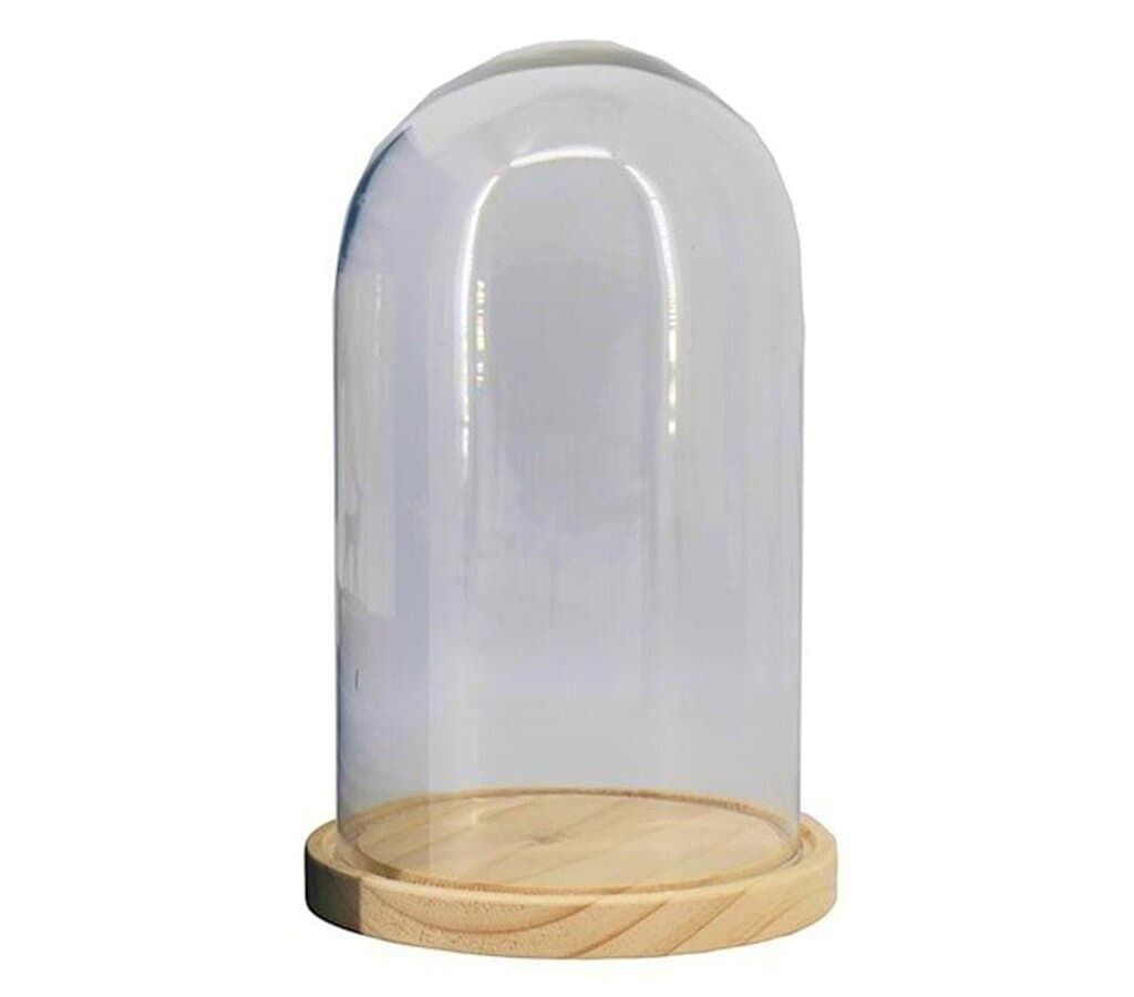 Cúpula En Bandeja De Madera Diámetro 16.5cm Altura 27 Cm