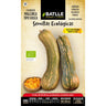 Semillas de Calabaza Mallorca ecológicas Batlle