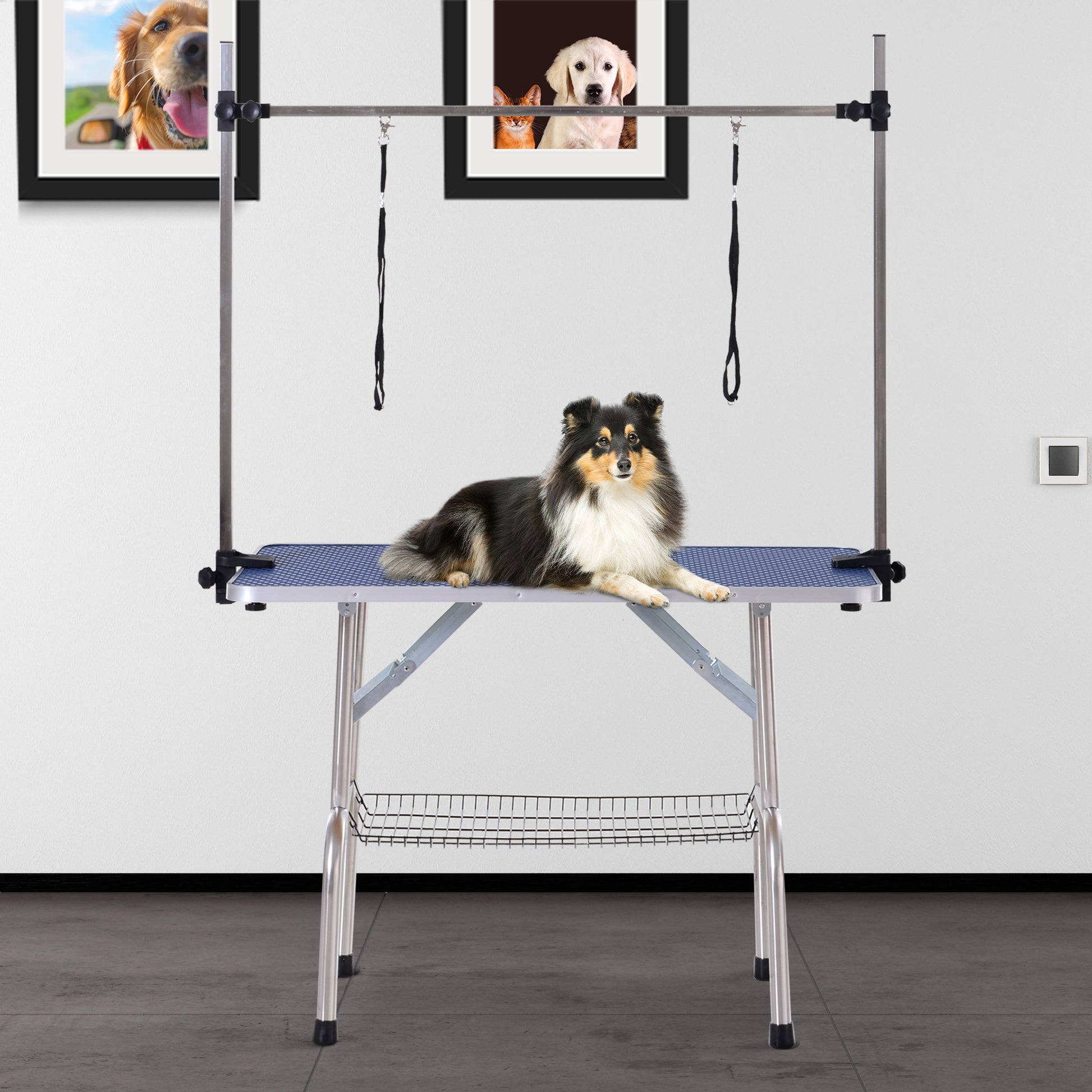 Pawhut Mesa De Peluquería Canina Plegable_1