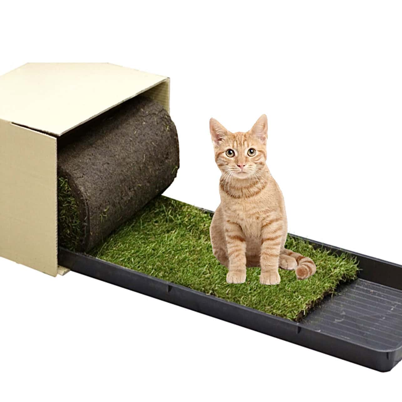 Petground, Arenero Para Gatos, Cama De Césped Natural, Hierba Gatera, Alfombra Olfativa Xl Xl: 117 X 40 Cm_0
