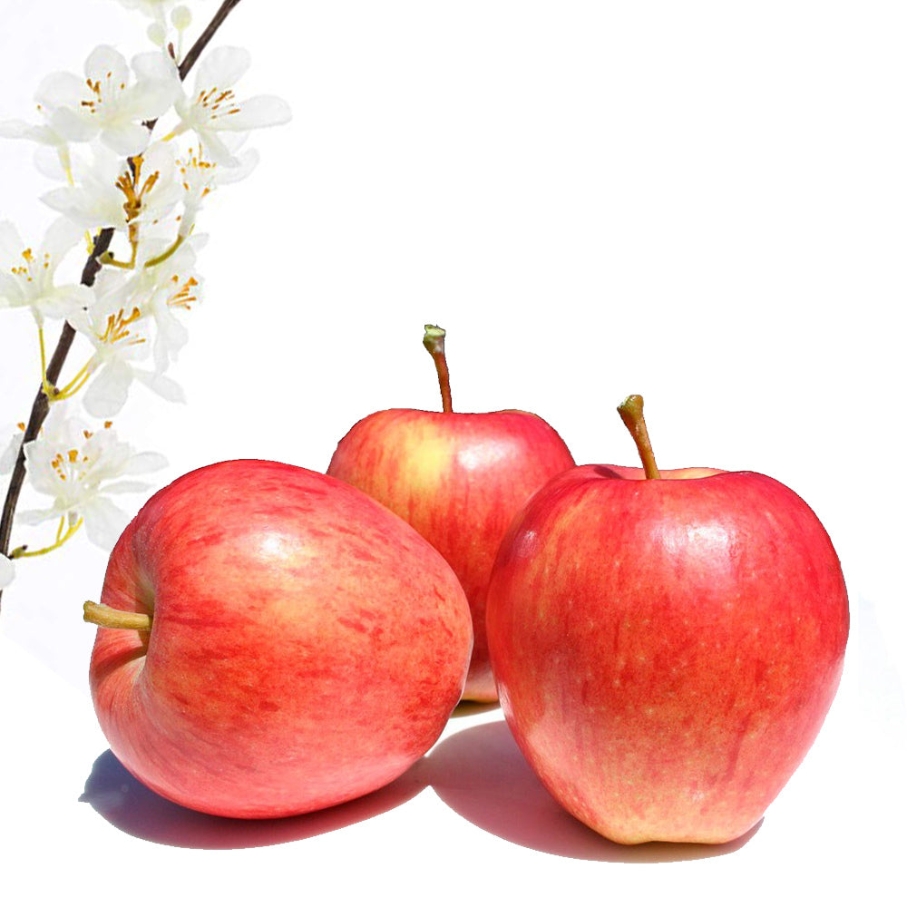 Manzana Gala Grande. Caja 10 Kg_1