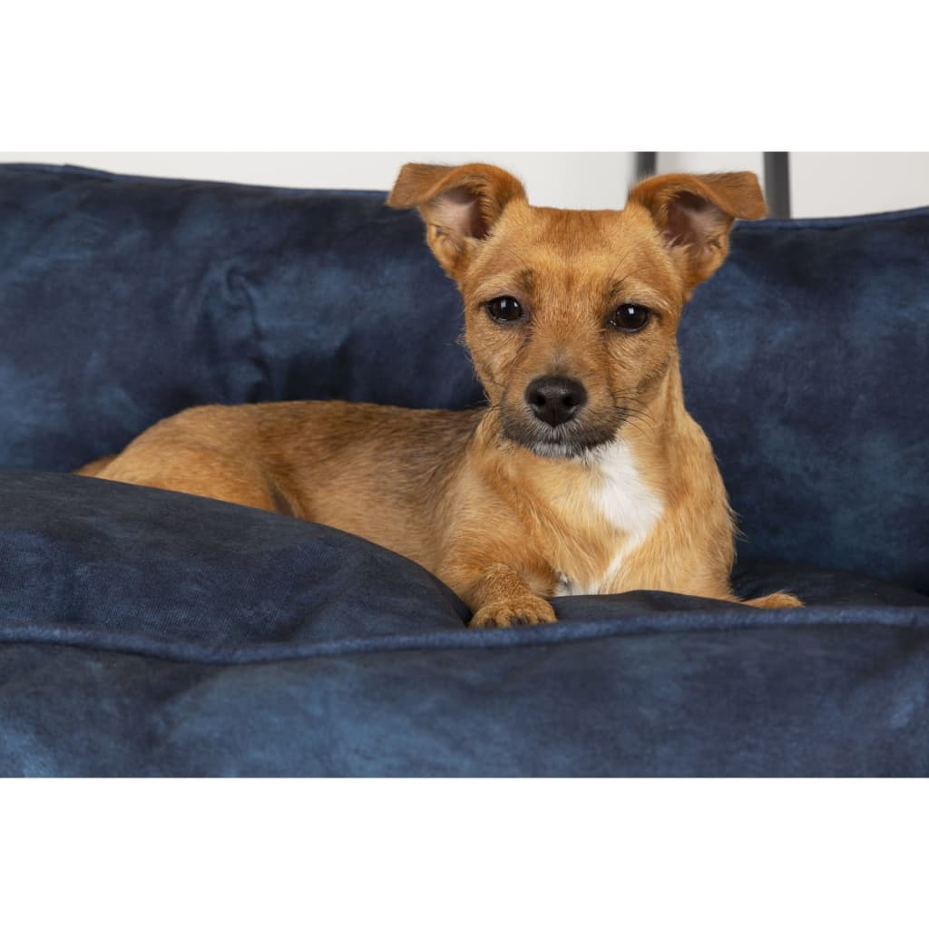 Scruffs & Tramps Cama Para Perros Kensington Azul Marino M 60x50 Cm / Vetonek_5